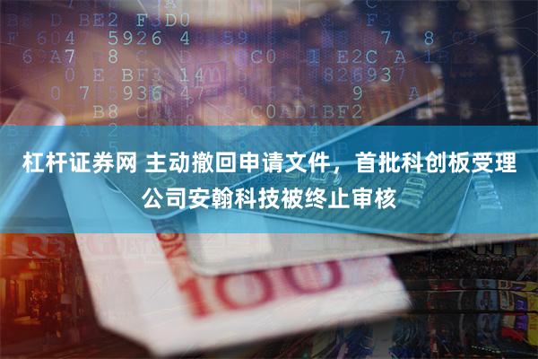 杠杆证券网 主动撤回申请文件，首批科创板受理公司安翰科技被终止审核