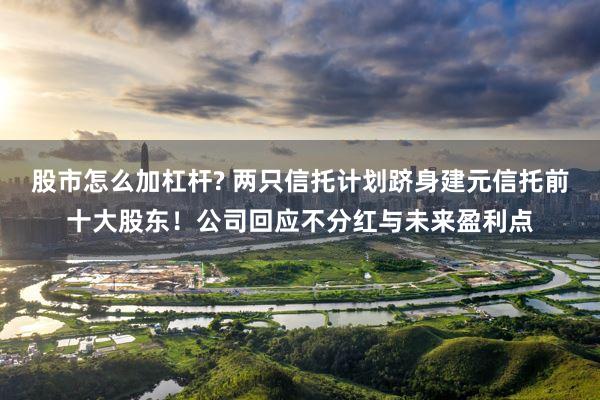 股市怎么加杠杆? 两只信托计划跻身建元信托前十大股东！公司回应不分红与未来盈利点