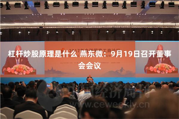 杠杆炒股原理是什么 燕东微：9月19日召开董事会会议