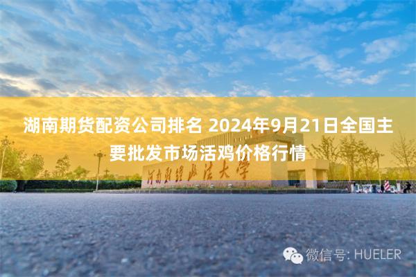 湖南期货配资公司排名 2024年9月21日全国主要批发市场活鸡价格行情