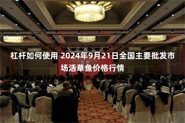 杠杆如何使用 2024年9月21日全国主要批发市场活草鱼价格行情