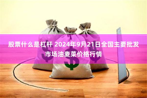 股票什么是杠杆 2024年9月21日全国主要批发市场油麦菜价格行情
