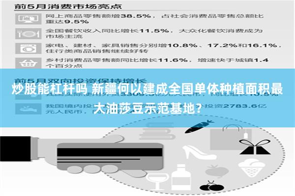 炒股能杠杆吗 新疆何以建成全国单体种植面积最大油莎豆示范基地？