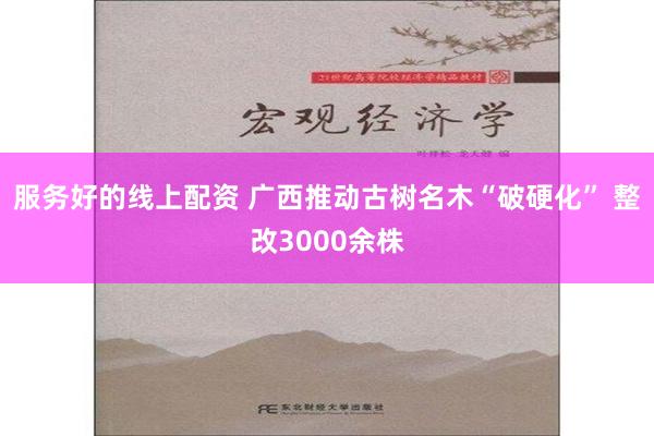 服务好的线上配资 广西推动古树名木“破硬化” 整改3000余株