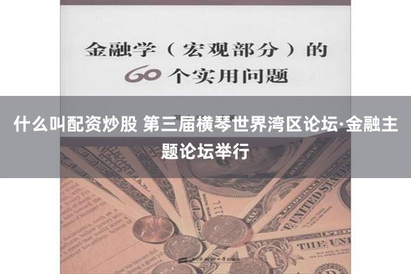 什么叫配资炒股 第三届横琴世界湾区论坛·金融主题论坛举行
