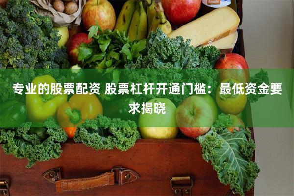 专业的股票配资 股票杠杆开通门槛：最低资金要求揭晓