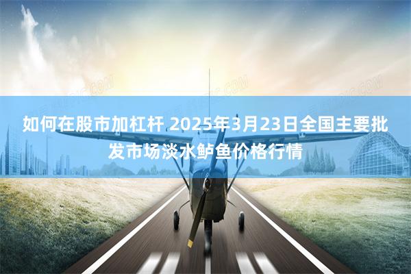 如何在股市加杠杆 2025年3月23日全国主要批发市场淡水鲈鱼价格行情