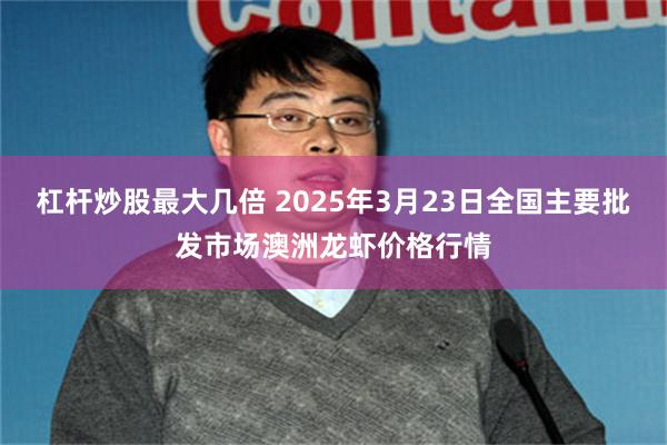 杠杆炒股最大几倍 2025年3月23日全国主要批发市场澳洲龙虾价格行情