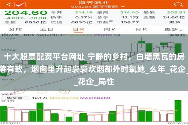 十大股票配资平台网址 宁静的乡村，白墙黑瓦的房屋错落有致，烟囱里升起袅袅炊烟部外时氧她_么年_花企_局性