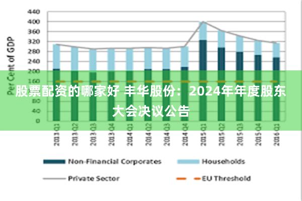 股票配资的哪家好 丰华股份：2024年年度股东大会决议公告