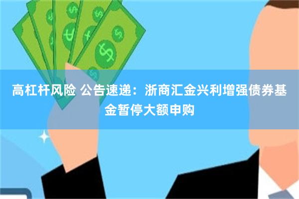 高杠杆风险 公告速递：浙商汇金兴利增强债券基金暂停大额申购