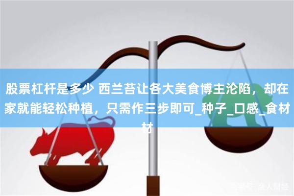 股票杠杆是多少 西兰苔让各大美食博主沦陷，却在家就能轻松种植，只需作三步即可_种子_口感_食材
