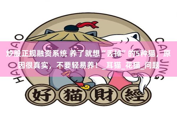 炒股正规融资系统 养了就想“丢掉”的5种猫，原因很真实，不要轻易养！_耳猫_花猫_问题