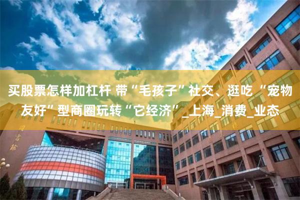 买股票怎样加杠杆 带“毛孩子”社交、逛吃 “宠物友好”型商圈玩转“它经济”_上海_消费_业态