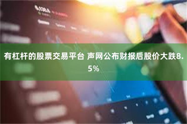 有杠杆的股票交易平台 声网公布财报后股价大跌8.5%