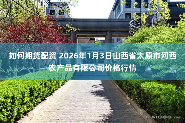 如何期货配资 2026年1月3日山西省太原市河西农产品有限公司价格行情