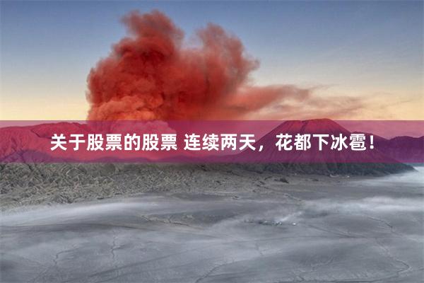 关于股票的股票 连续两天，花都下冰雹！