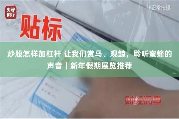 炒股怎样加杠杆 让我们赏马、观鲸，聆听蜜蜂的声音｜新年假期展览推荐