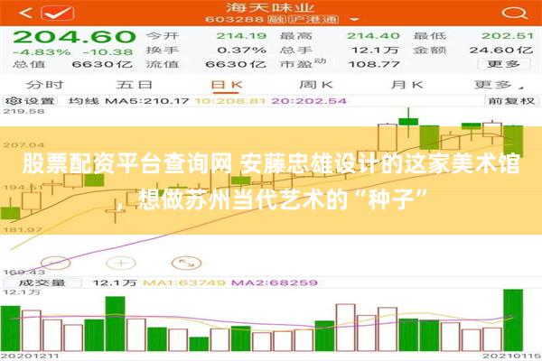 股票配资平台查询网 安藤忠雄设计的这家美术馆，想做苏州当代艺术的“种子”