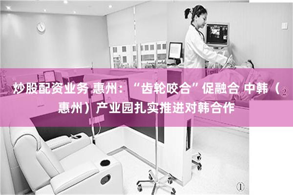 炒股配资业务 惠州：“齿轮咬合”促融合 中韩（惠州）产业园扎实推进对韩合作