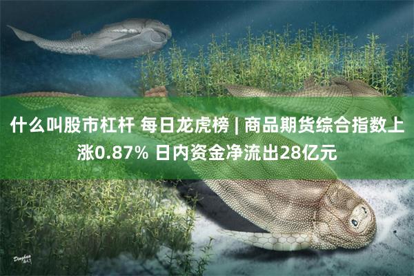 什么叫股市杠杆 每日龙虎榜 | 商品期货综合指数上涨0.87% 日内资金净流出28亿元