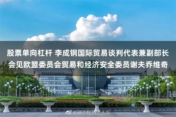 股票单向杠杆 李成钢国际贸易谈判代表兼副部长会见欧盟委员会贸易和经济安全委员谢夫乔维奇