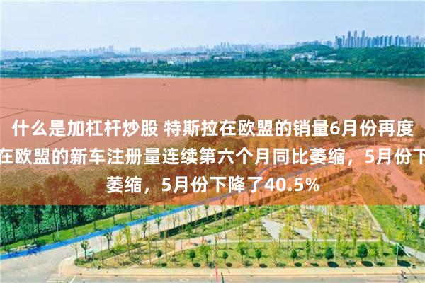 什么是加杠杆炒股 特斯拉在欧盟的销量6月份再度下降23%，在欧盟的新车注册量连续第六个月同比萎缩，5月份下降了40.5%