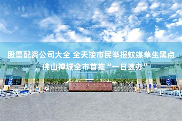 股票配资公司大全 全天接市民举报蚊媒孳生黑点，佛山禅城全市首推“一日速办”